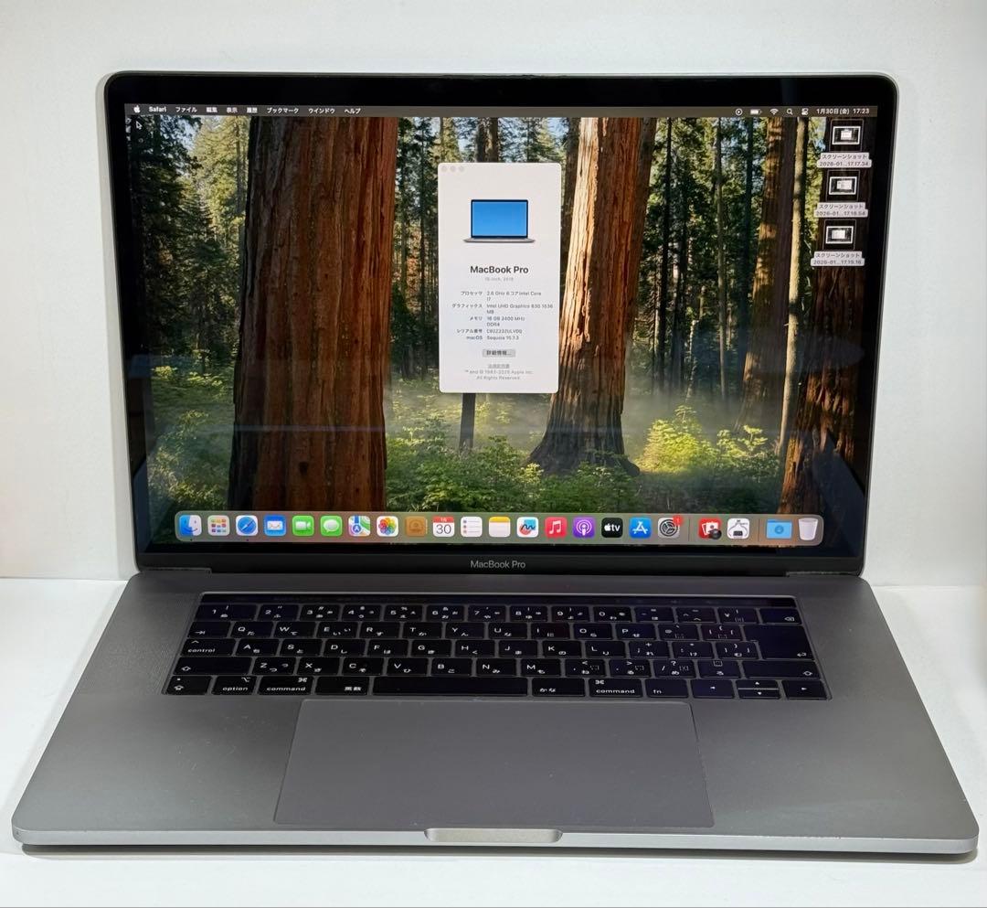 MacBook本体 Apple MacBook Pro 15 2019 i7/16GB/500GB