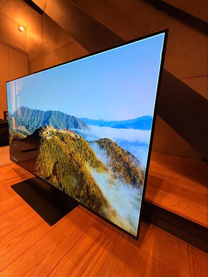 【かいじゅうぶーうごん様】Panasonic 2019年製 TH-55FZ950