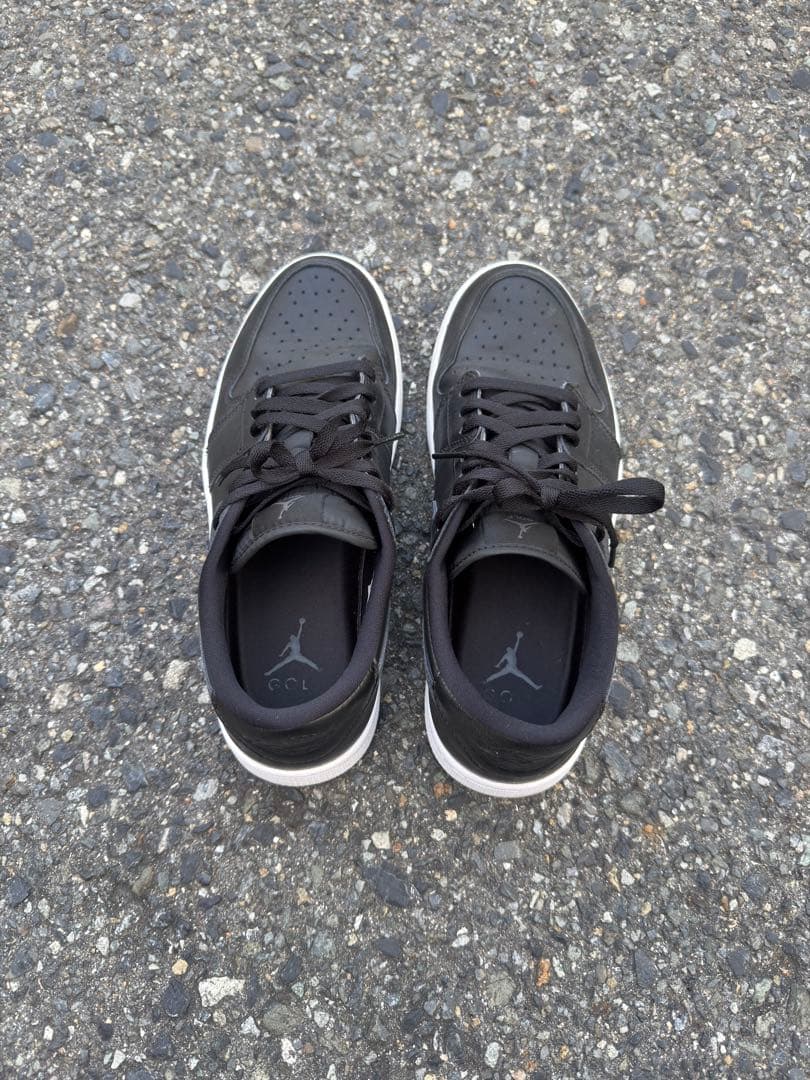 エア ジョーダン 1 LOW G