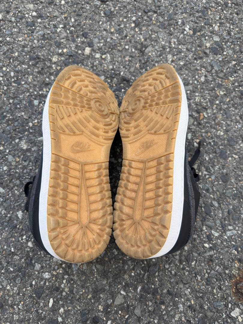 エア ジョーダン 1 LOW G