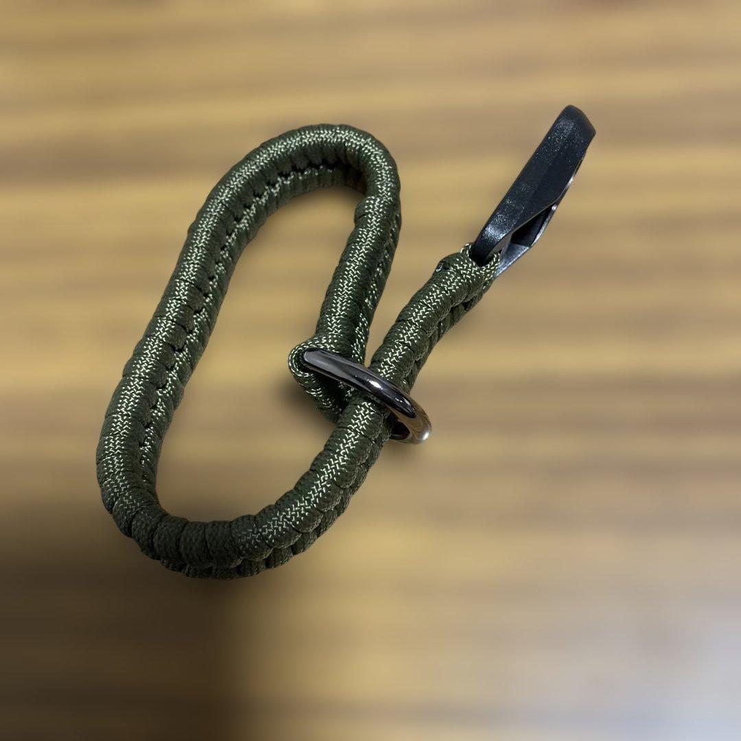 お値下げ。LUMIX G DC-GF10/90 BKボディ。