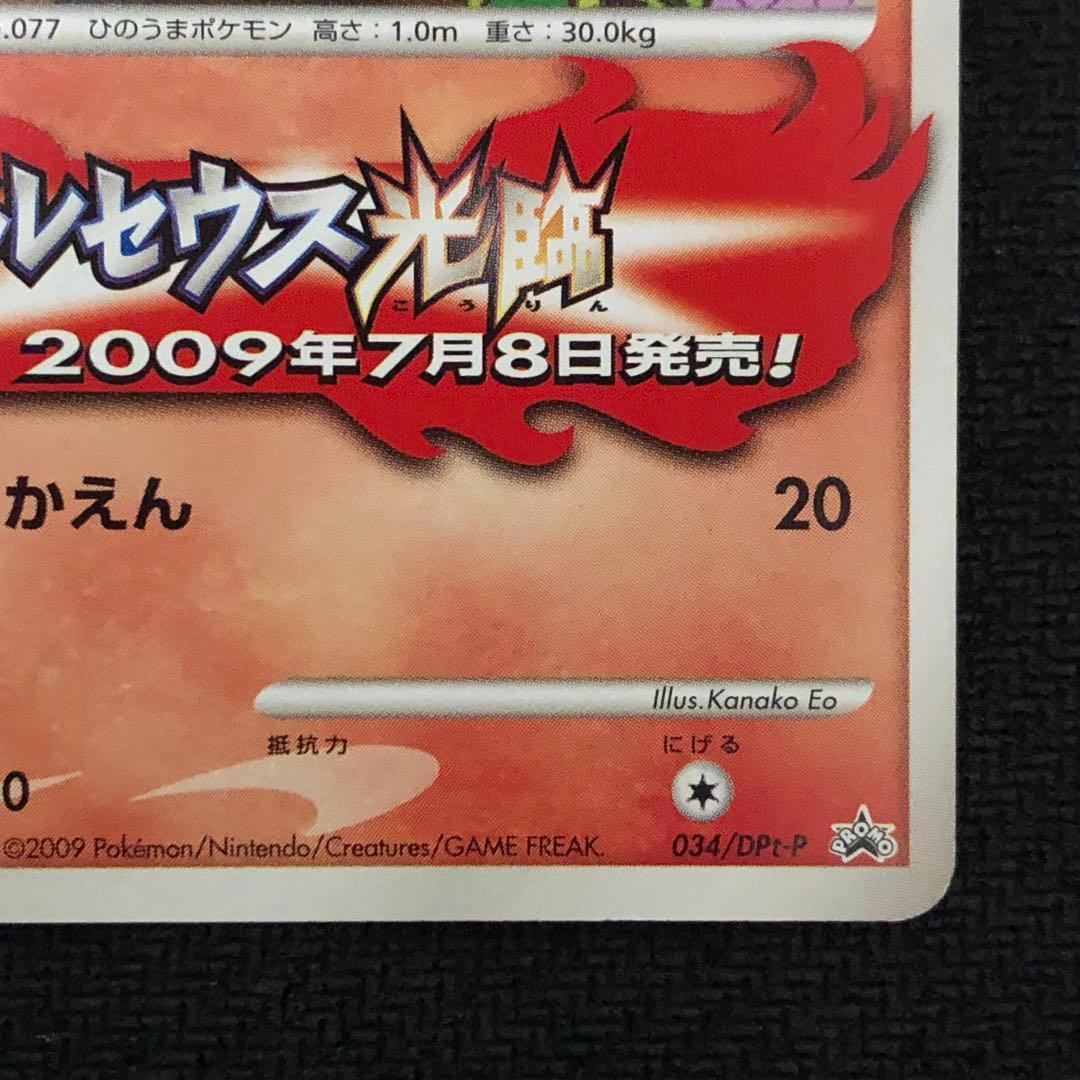 ポニータ 034/DPt-P プロモ ポケモンチャレンジひろば 1265