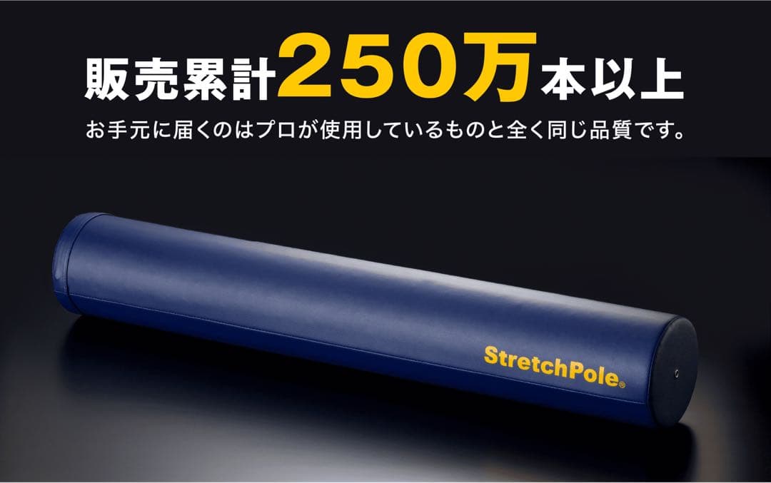 ストレッチポール　EX LPN社正規品