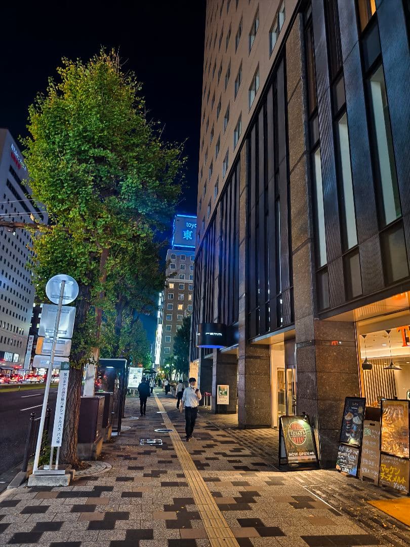 vivo X100 Pro グローバル版512GB