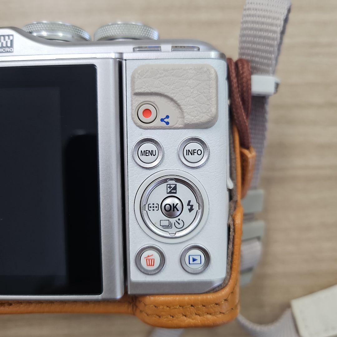 OLYMPUS　PEN　E-PL9　カバー付き