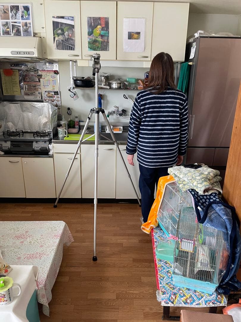 SLICK SLIK スリック 三段 大型 三脚 王冠マーク MASTER 希少