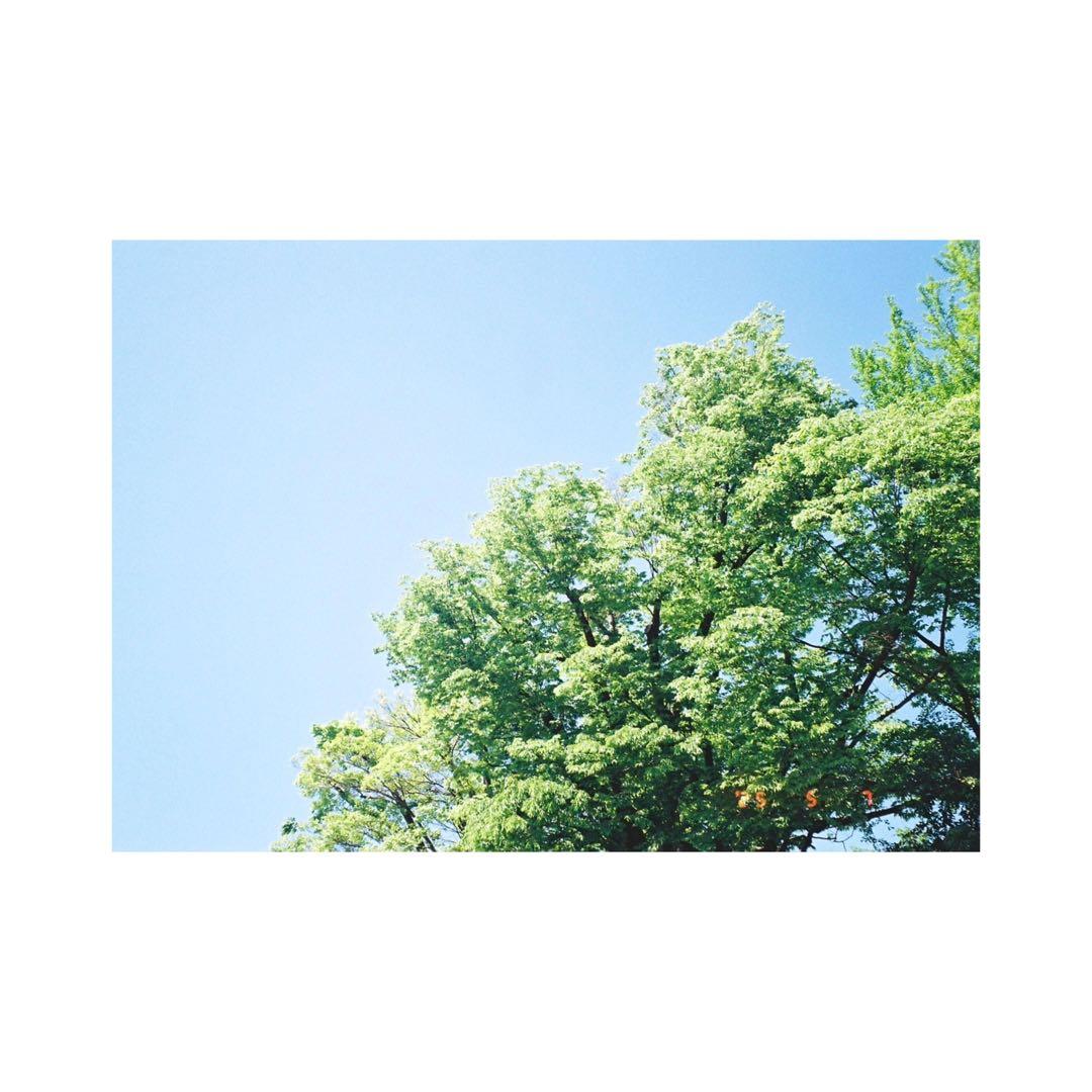 ⌘完動品！ 作例あり、電池付き！ OLYMPUS OZ 150R⌘