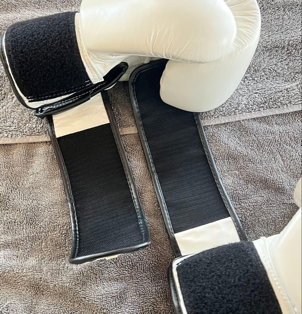 Fairtex ボクシング ムエタイ グローブ ホワイト10oz