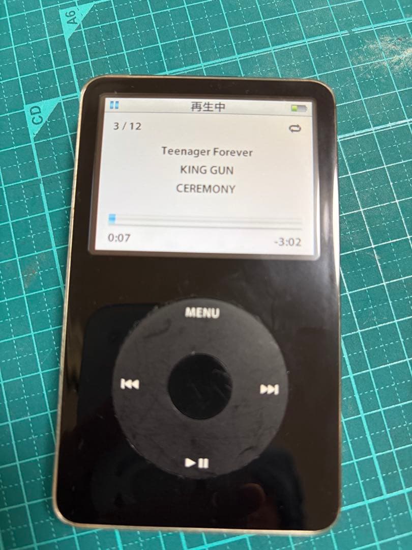 Apple iPod 80GB本体のみ