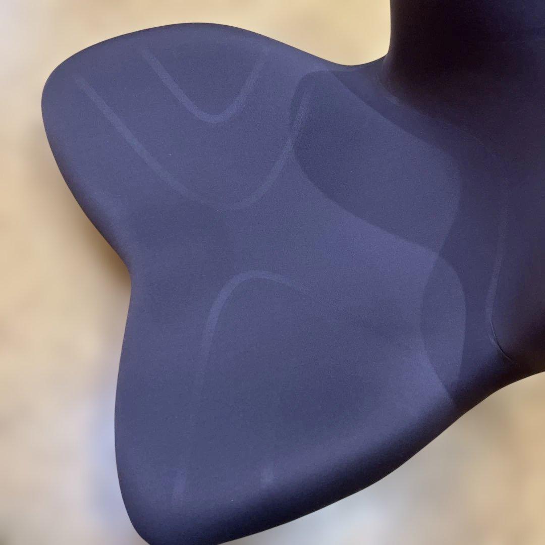 Style PREMIUM スタイルプレミアム　姿勢ケアシート