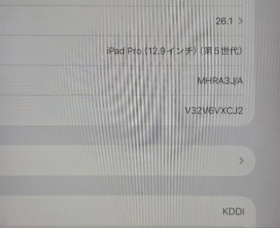 なの Apple iPad Pro 12.9インチ (第5世代) 1TB