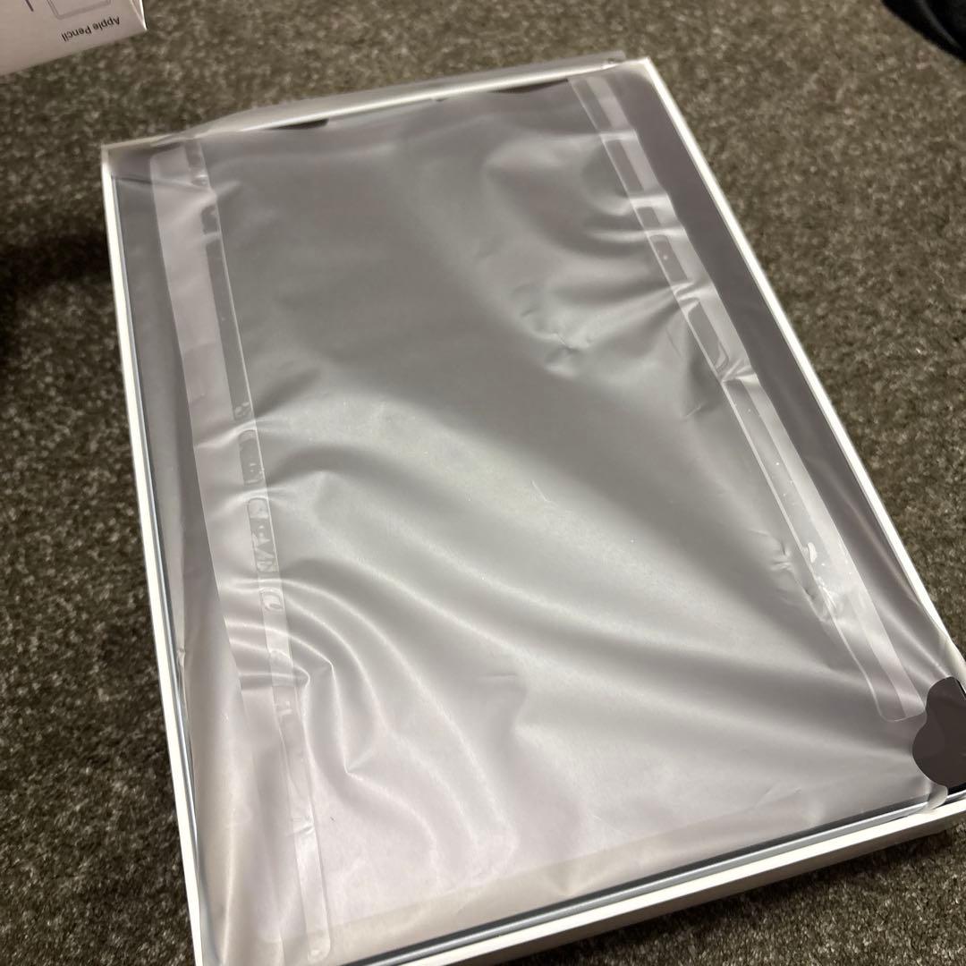 Apple iPad Air第４世代 本体　Apple Pencil ケース付き