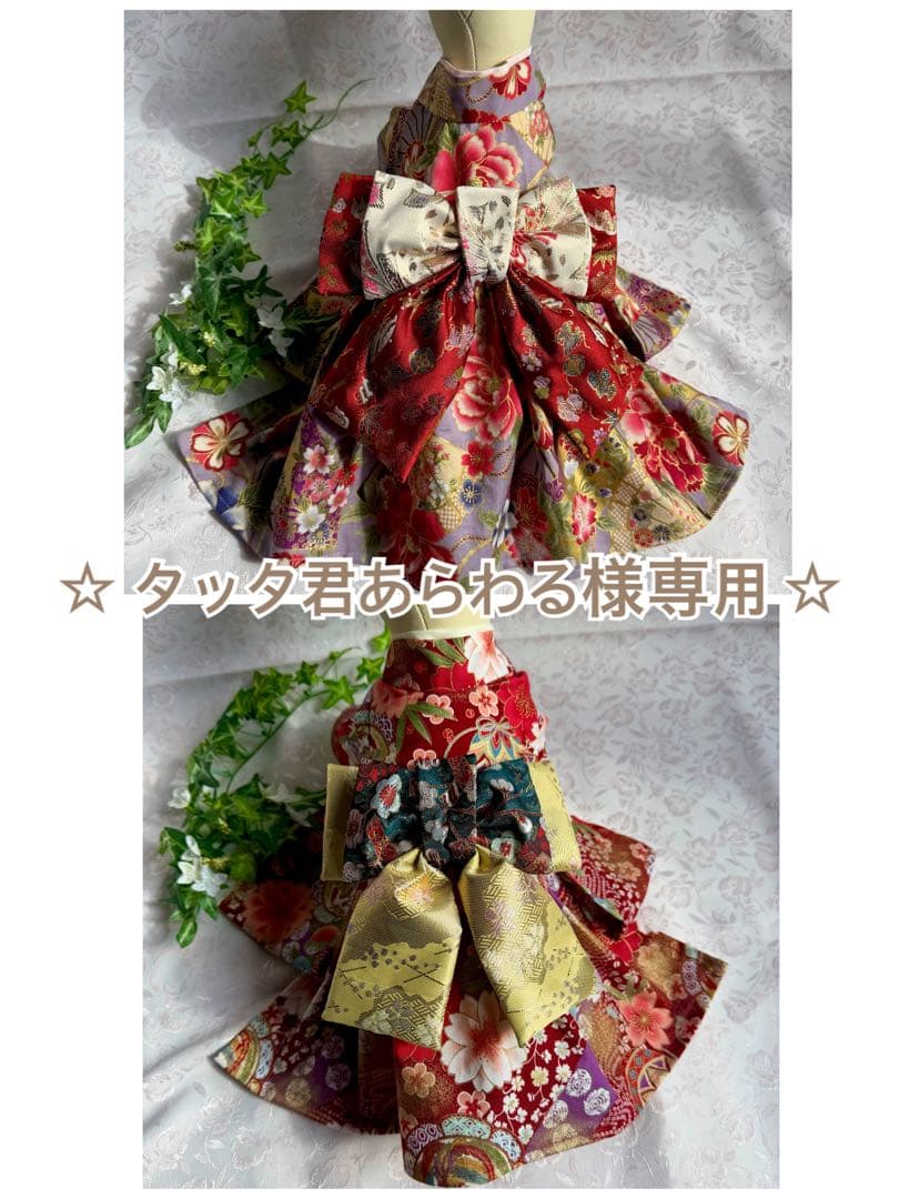 ☆ タッタ君あらわる ☆