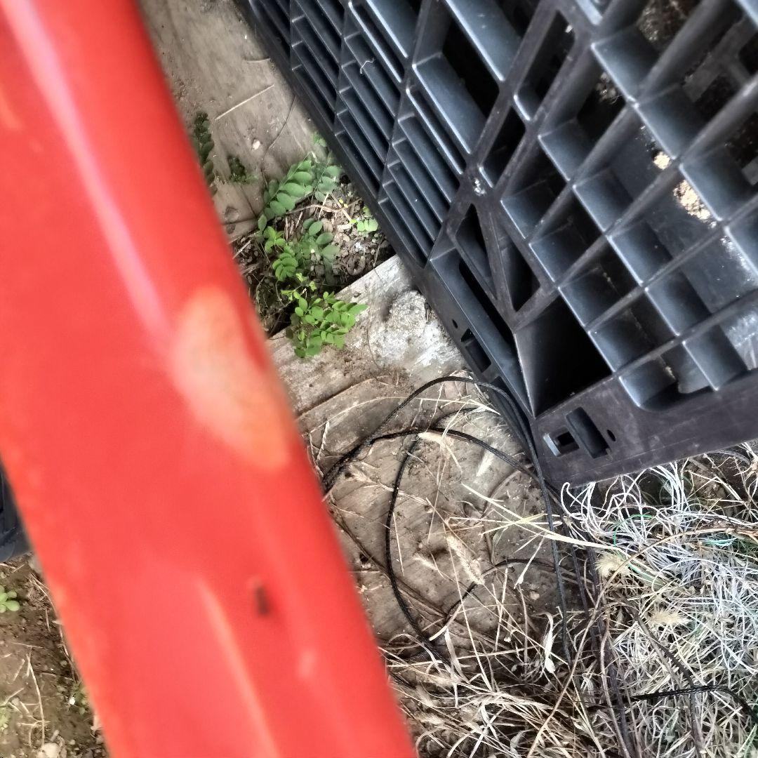 SAM666 リペア前提 サーフボード ハーバー ロングボード