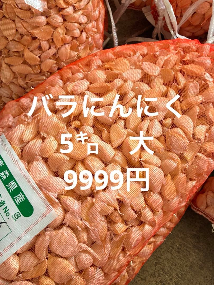 新物　青森県バラにんにく5キロ大
