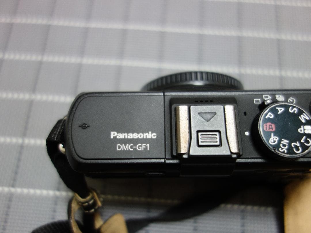 【超美品】panasonic DMC-GF1