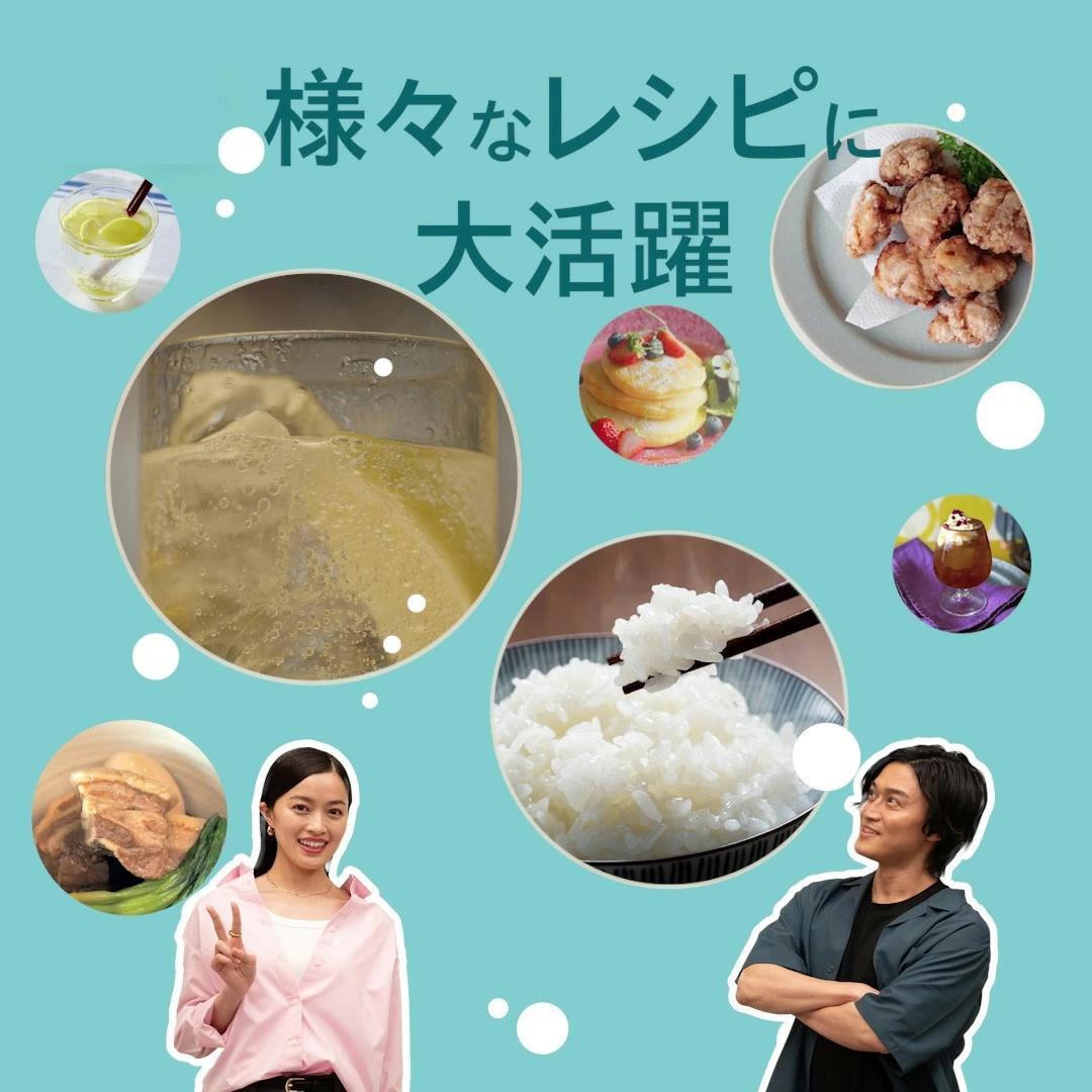 ソーダストリーム E-TERRA（E-テラ） 電動モデル 炭酸水メーカー 未使用