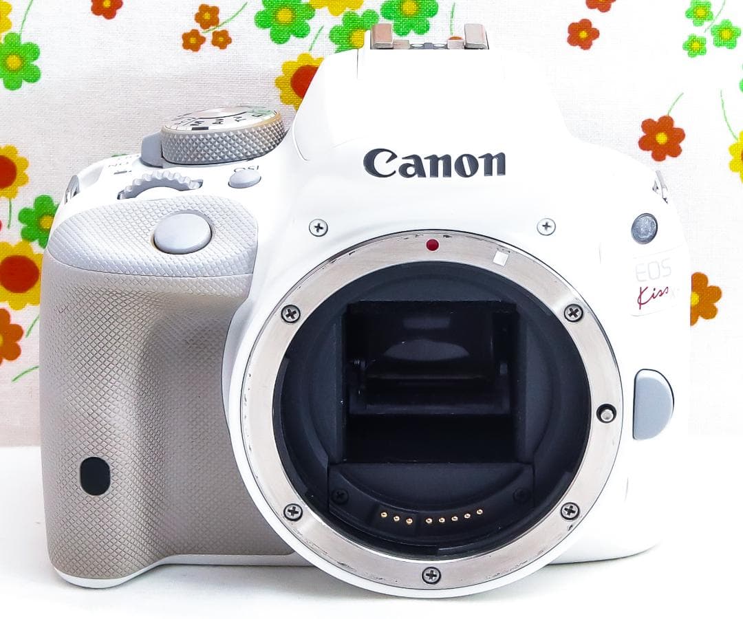 美品 Canon kiss x7☆希少ホワイト☆スマホに転送☆高性能レンズ！