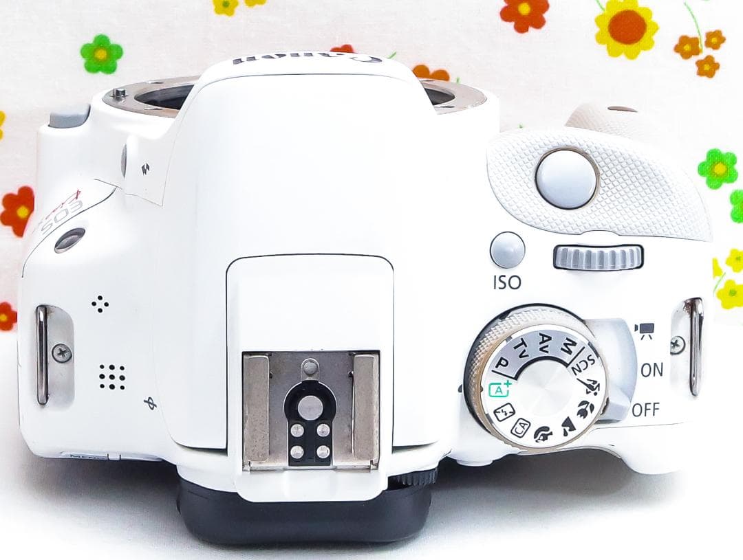 美品 Canon kiss x7☆希少ホワイト☆スマホに転送☆高性能レンズ！