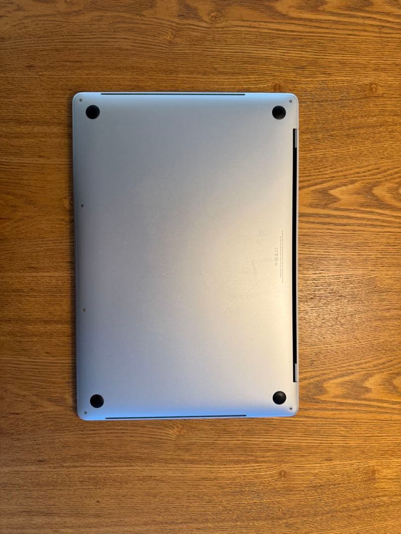 【外部出力OK】MacBook Pro 16インチ 2019 / 画面不良あり