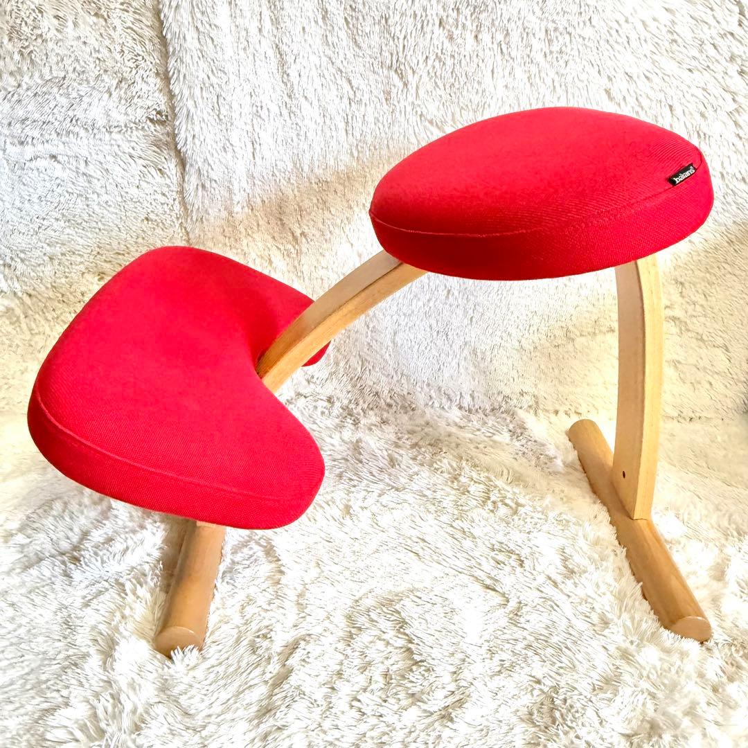 バランスチェア イージー balans Easy レッド サカモトハウス