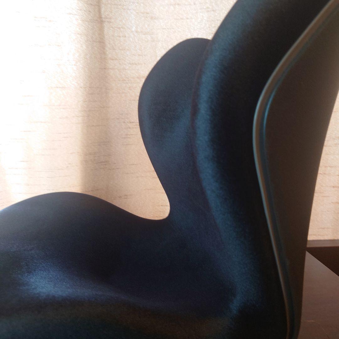 MTG　Style　PREMIUM　骨盤調整座椅子