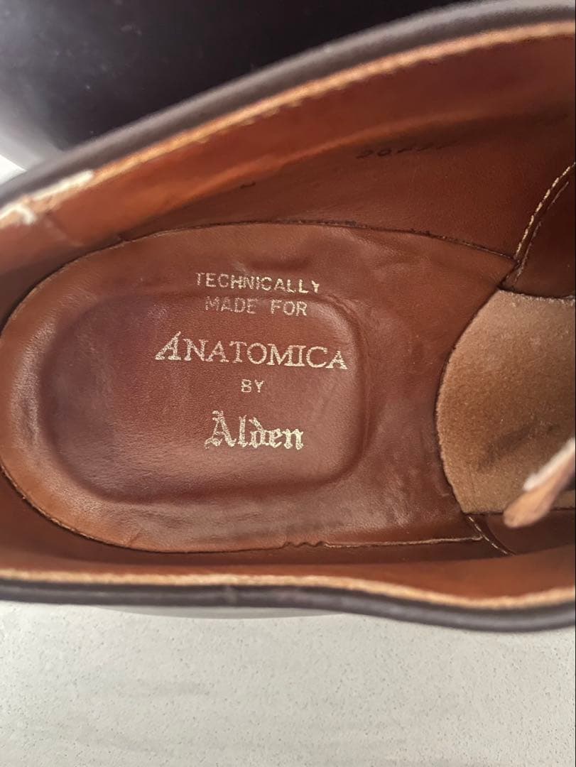 Aldenオールデン 56259 パンチドキャップトゥ