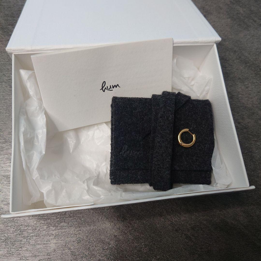 humジュエリーフープピアスM