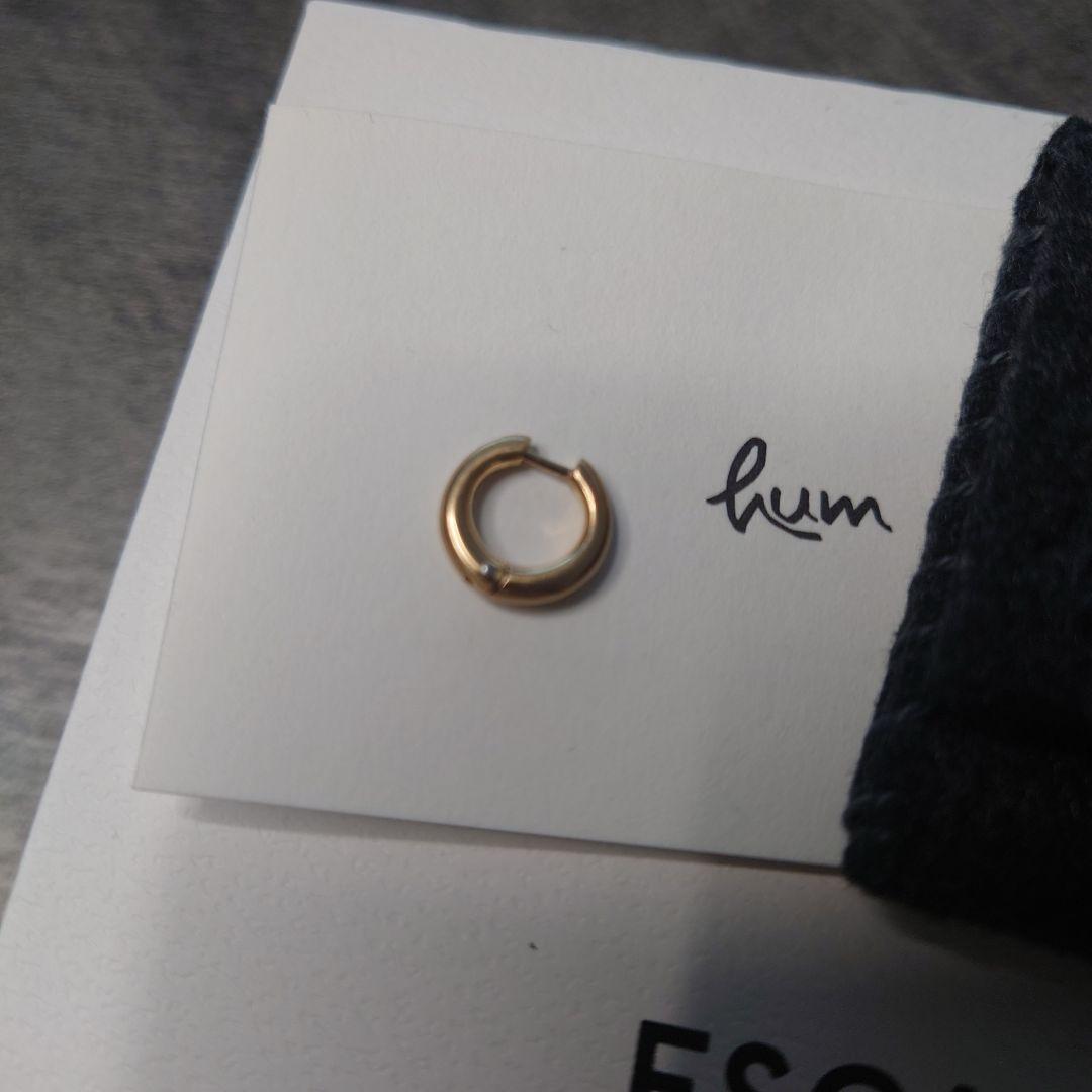 humジュエリーフープピアスM