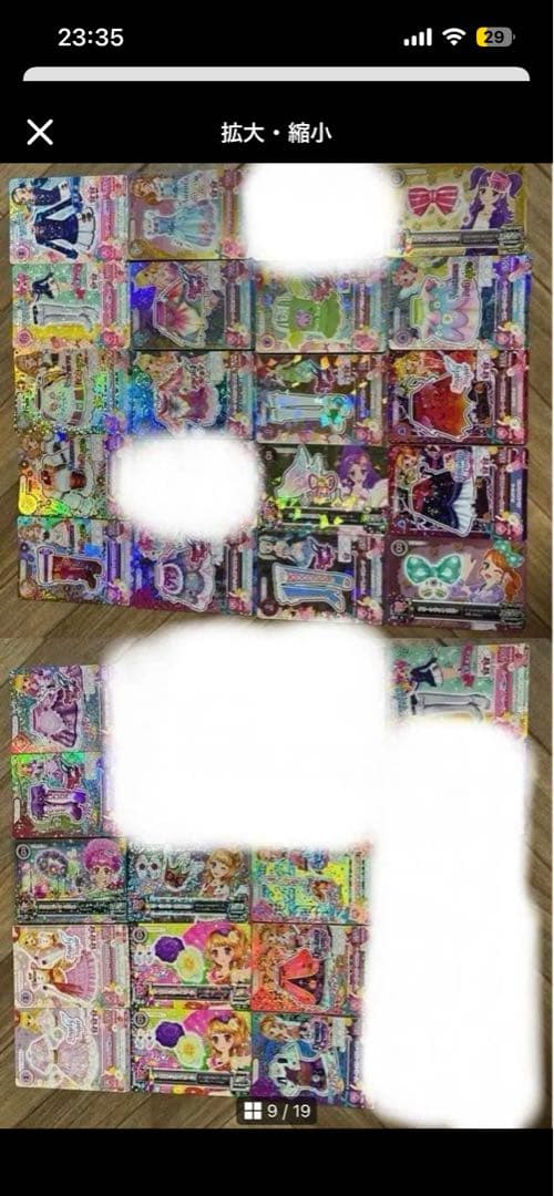 シャムタビー✨