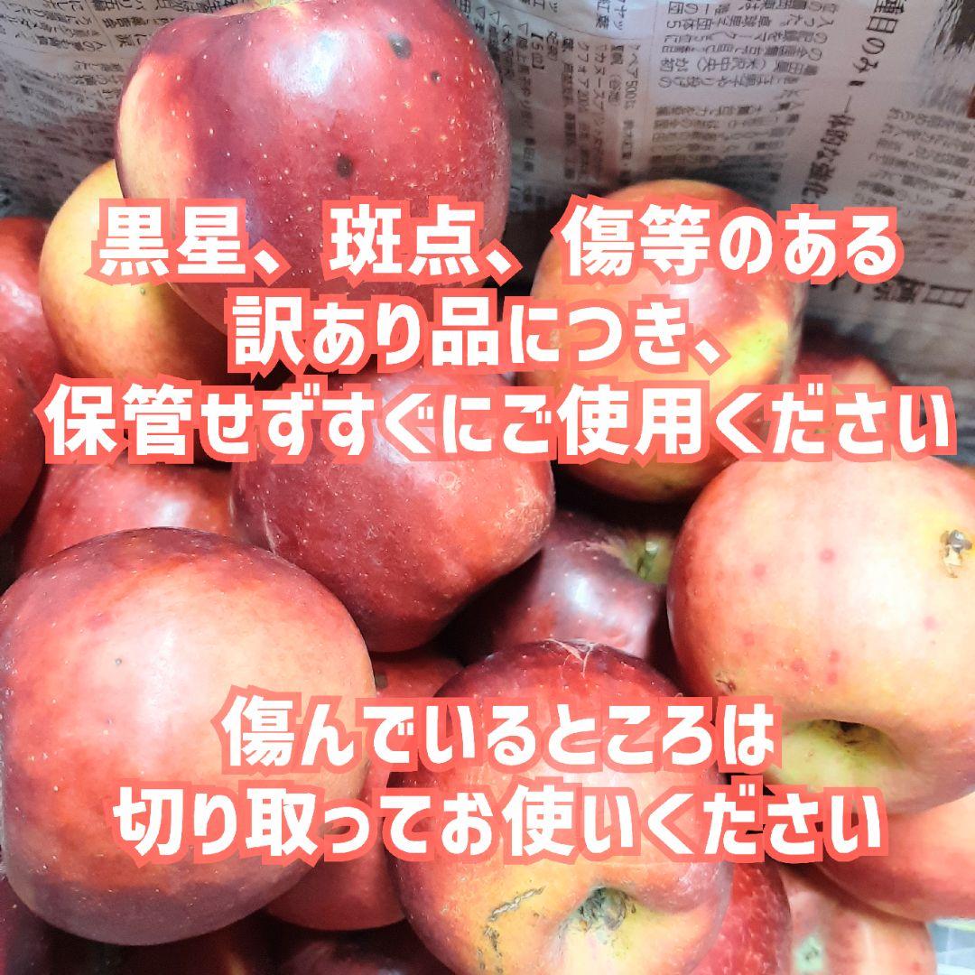 お買い得！訳ありりんご『紅玉』ミニ玉 箱込約10キロ×2箱 山形直送葉とらず栽培