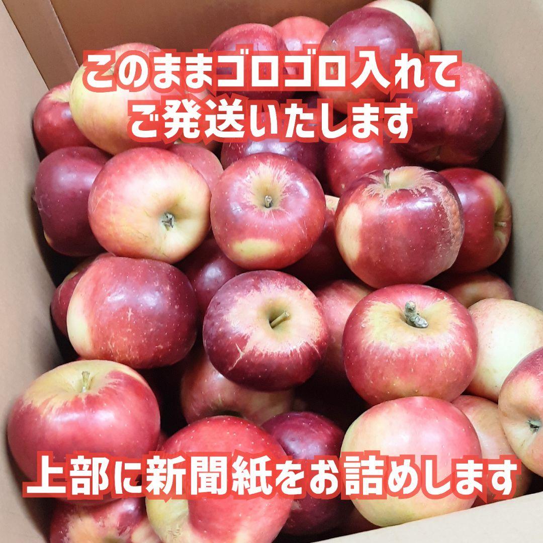 お買い得！訳ありりんご『紅玉』ミニ玉 箱込約10キロ×2箱 山形直送葉とらず栽培