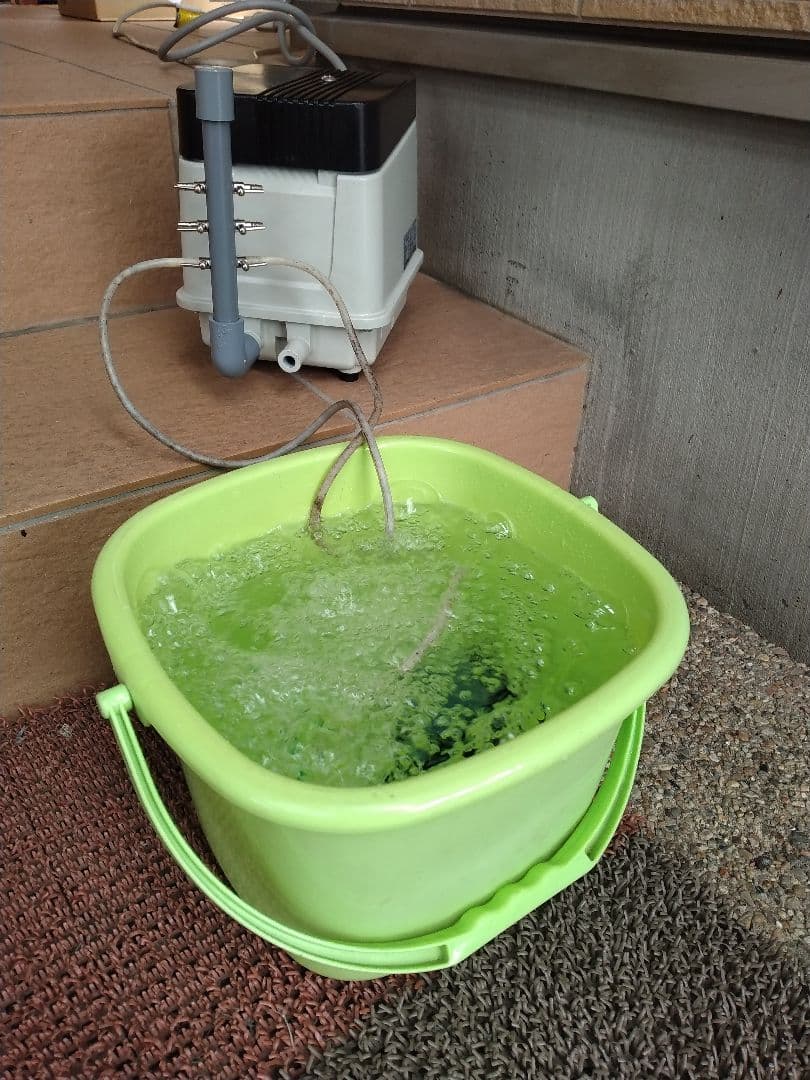 【安永(EP-80E-L)80L】 800 エアポンプ　ブロワ　浄化槽