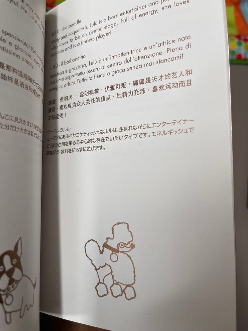 【未使用】GUCCI グッチ プードルチャーム ルル 犬 ブラウン 箱付き