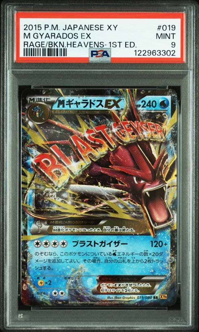 【PSA10 & 9】ギャラドスEX MギャラドスEX RR XY9 1ED