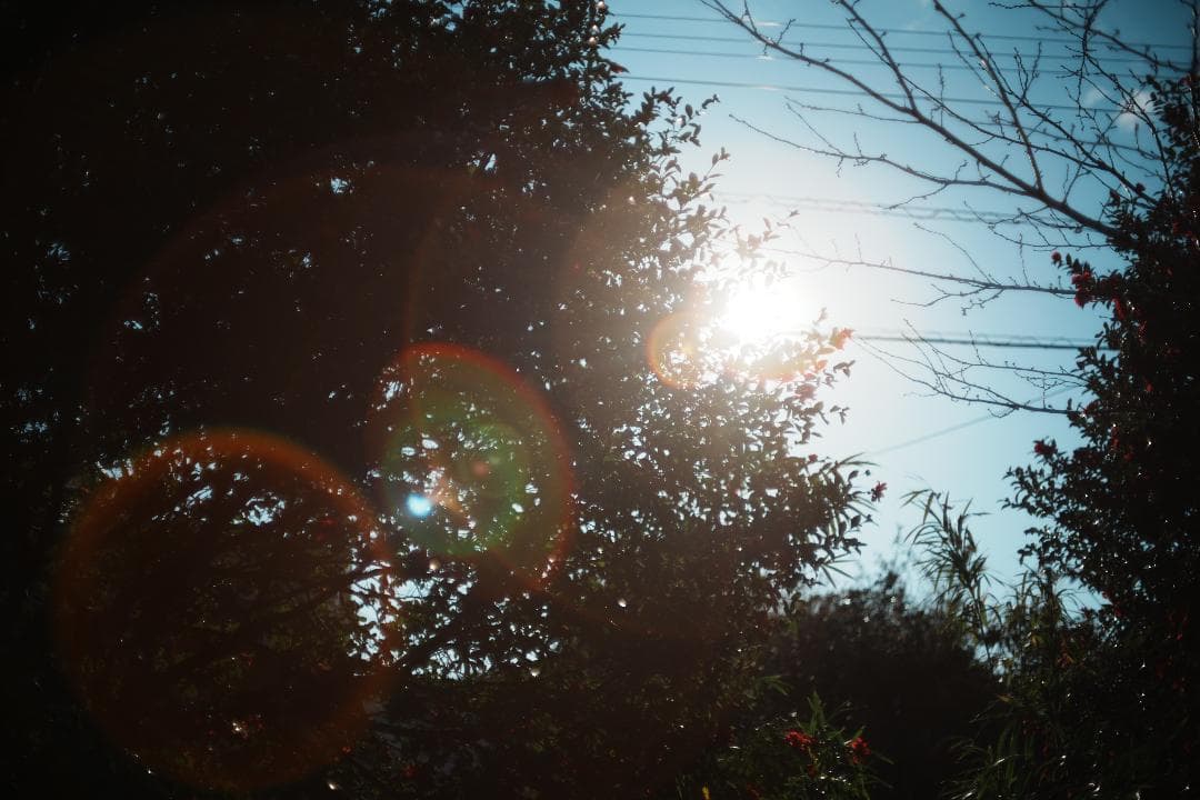 【希少8枚】Pentax Super Takumar 50mm F1.4 050