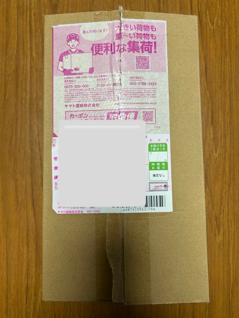 【新品未開封品】ポケモンセンター ヒロシマ スペシャルBOX(シュリンク付き)