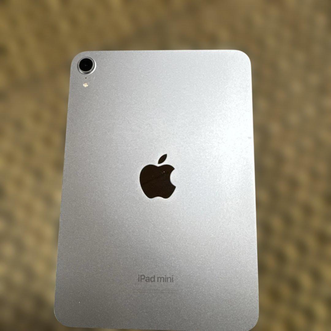 美品　iPad mini (A17 Pro) 256GB 7世代
