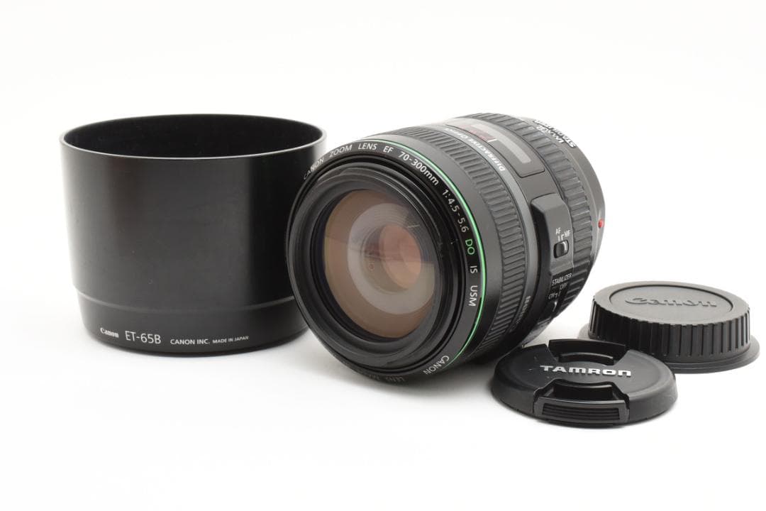 キャノン Canon EF 70-300mm f/4.5-5.6 DO 3317