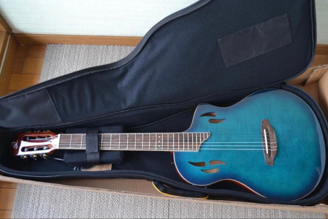 【ほぼ新品】Ortega RTPDLX-FMA TOURPLAYER エレガット