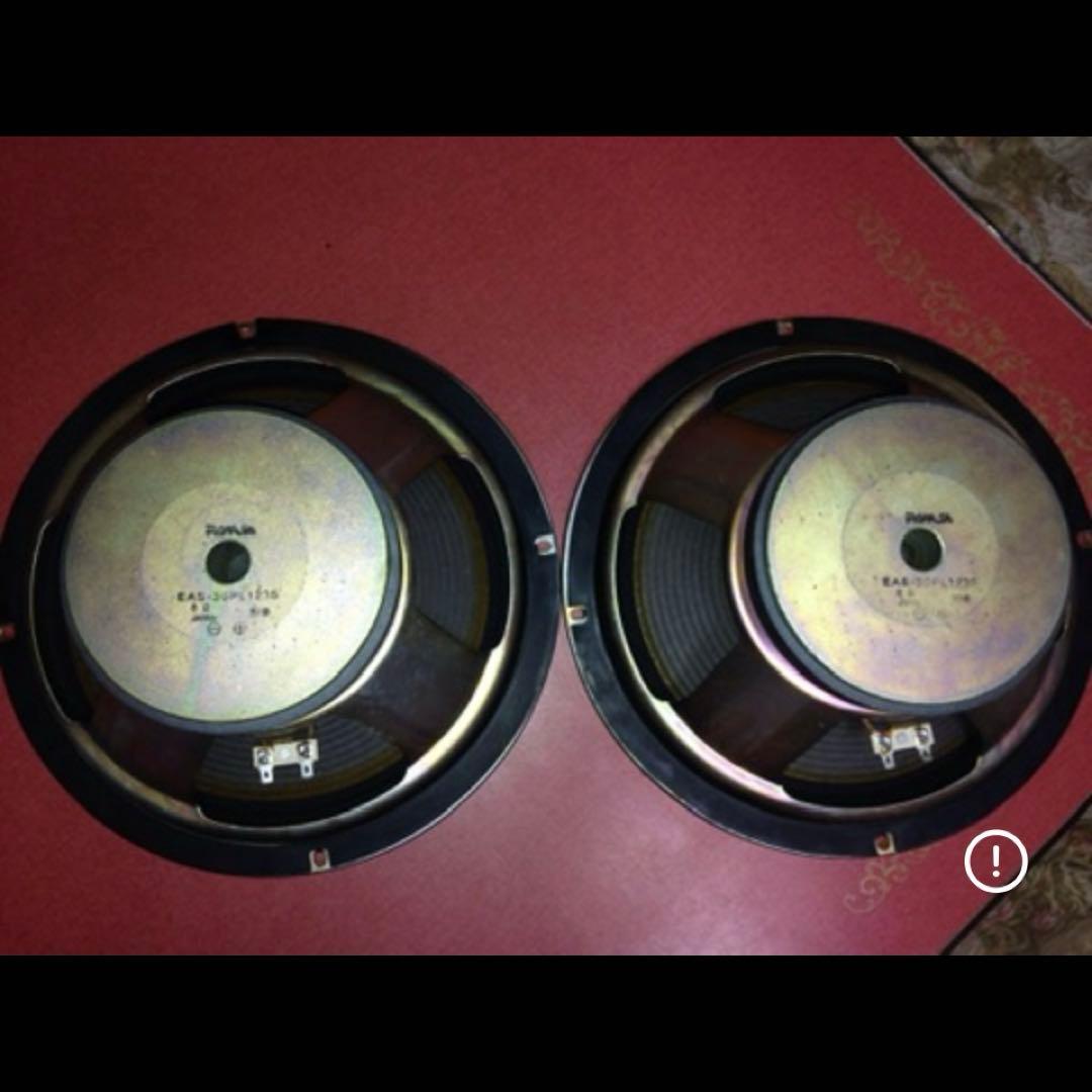 RAMSA ラムサ　ウーファー　ウーハー　EAS-30PL123S　日本製　8Ω