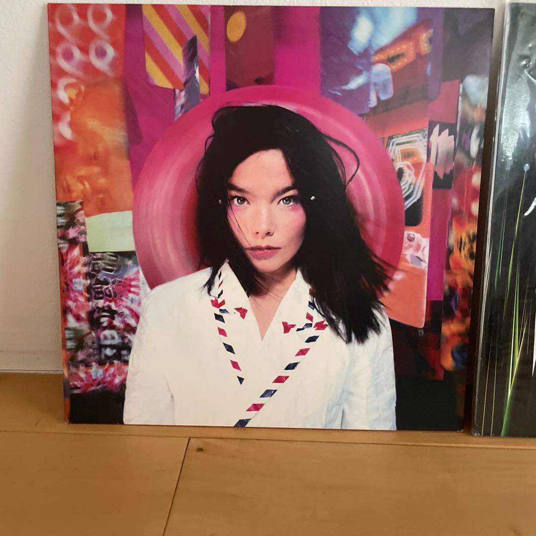 ビョーク　2枚セット