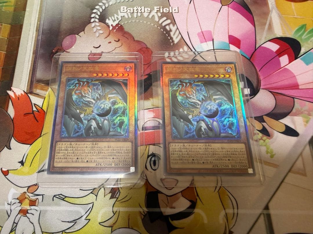 調和ノ天救竜　レリーフ　２枚セット