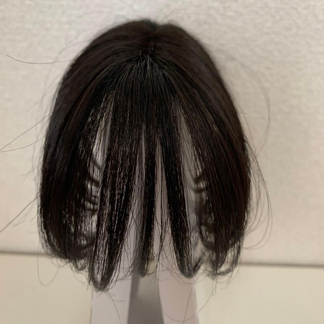 【新品】ペスカ ヘアメイト チャチャ ソフトブラック ショート