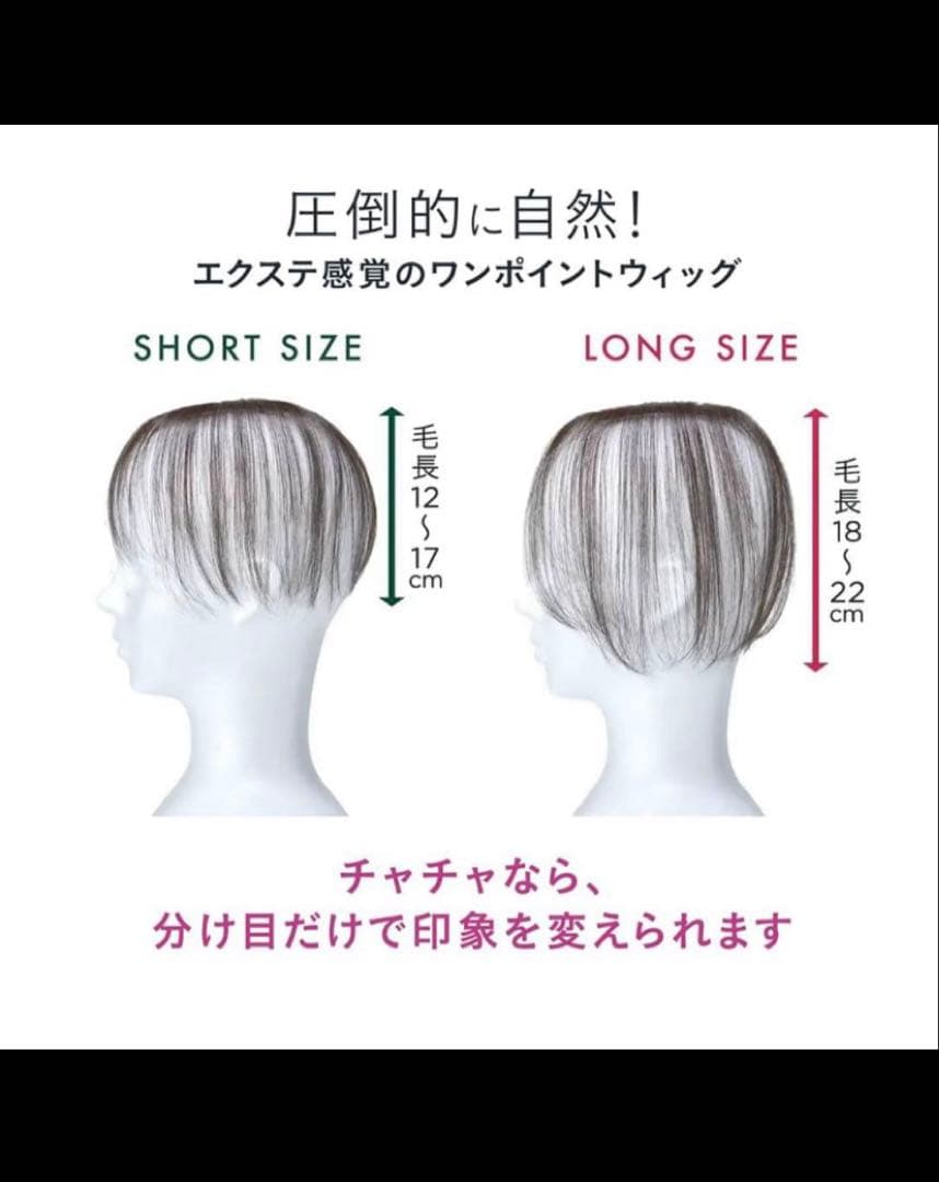 【新品】ペスカ ヘアメイト チャチャ ソフトブラック ショート