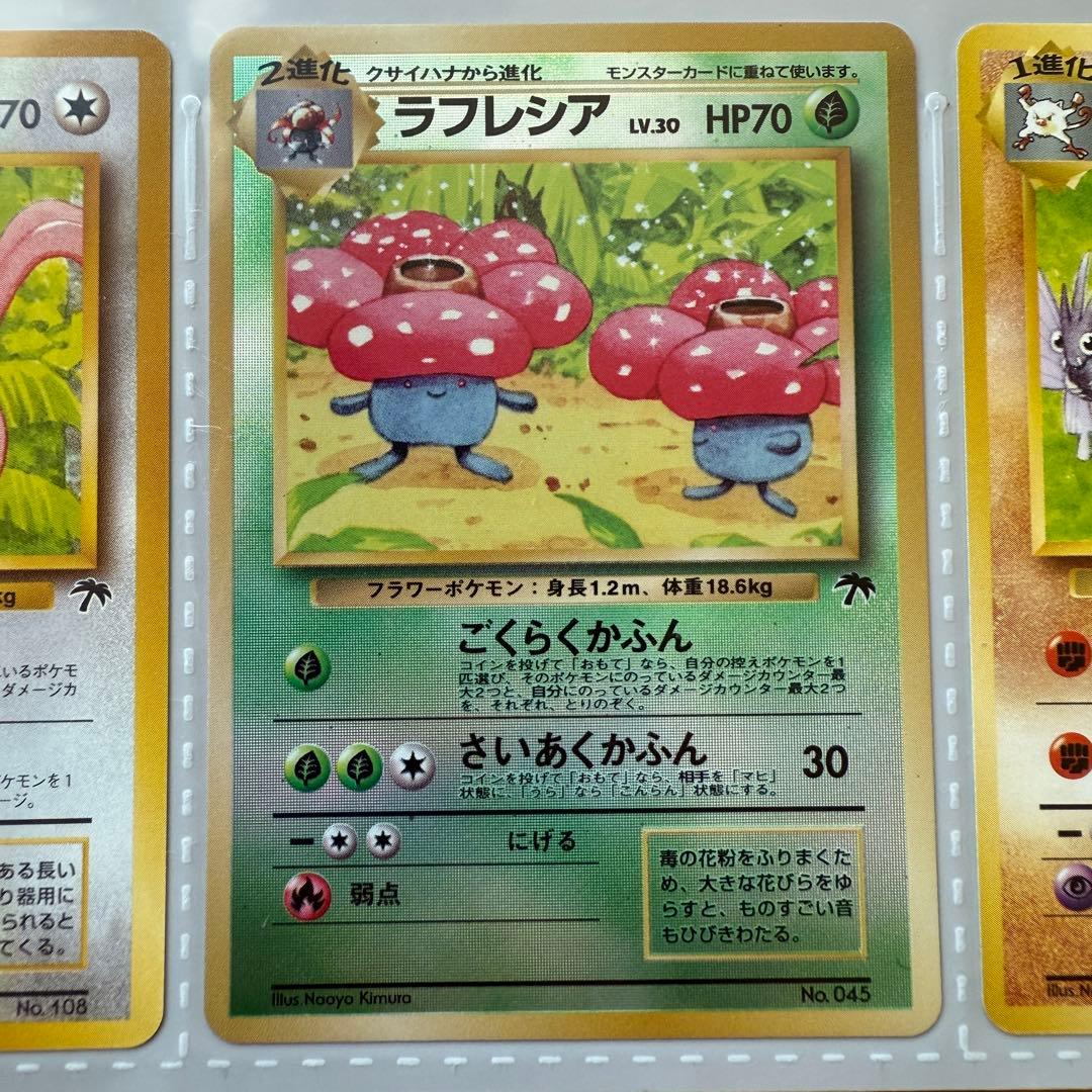 ポケモンカード トロピカルアイランド カード3枚セット