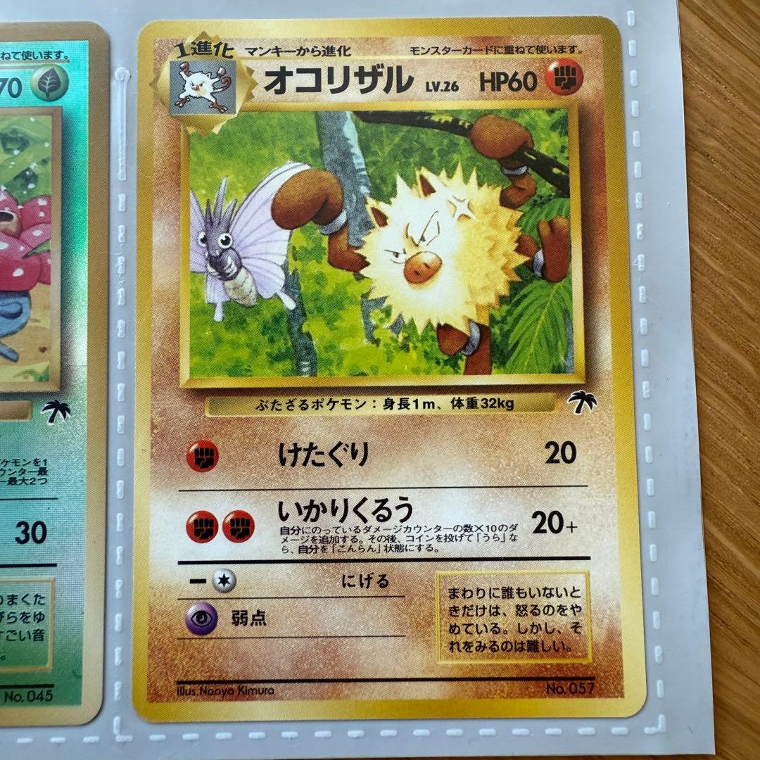 ポケモンカード トロピカルアイランド カード3枚セット