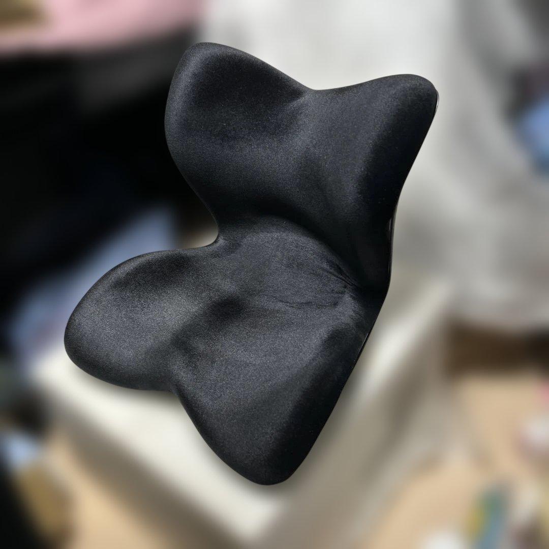 Style PREMIUM DX スタイルプレミアムデラックス