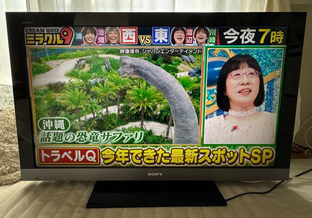 SONY BRAVIA KDL-40EX500 40インチ液晶テレビ 本体