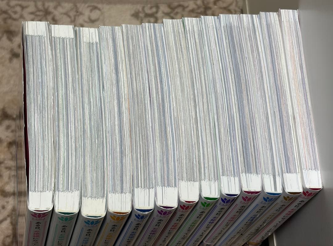 ある日、お姫様になってしまった件について 全13巻